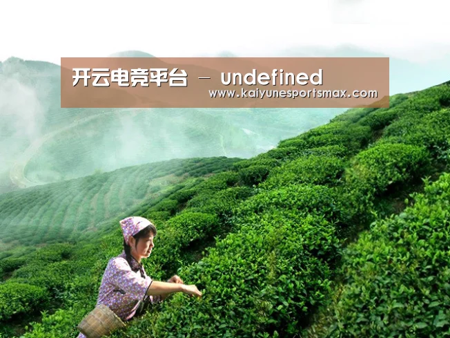 开云电竞平台 - undefined