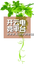 开云电竞平台 - undefined