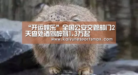“开运娱乐”全国公安交管部门2天查处酒驾醉驾1.3万起(图4) 开运平台